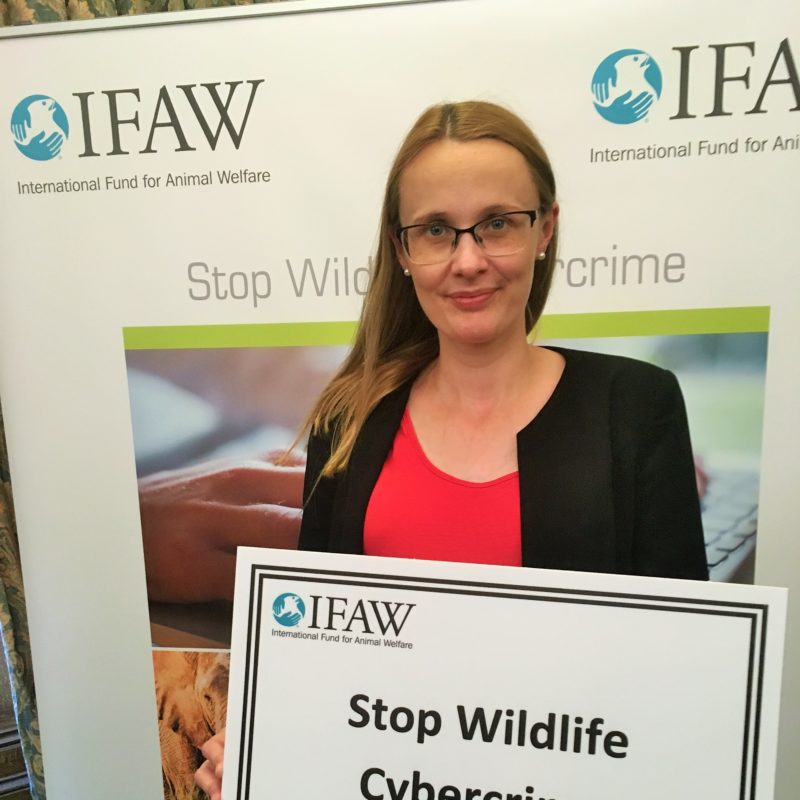 Cat supports calls for an end to online trade in live wildlife.