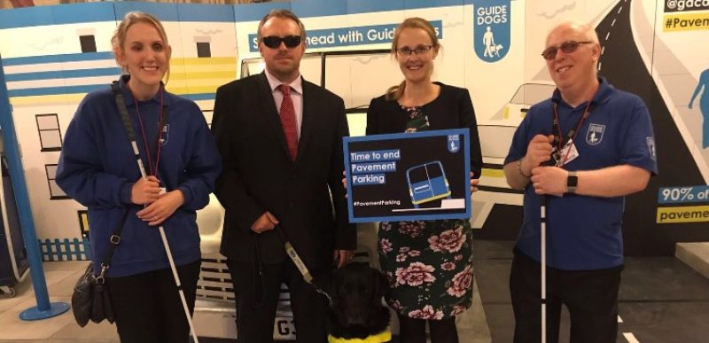 Cat supports Guide Dogs campaign