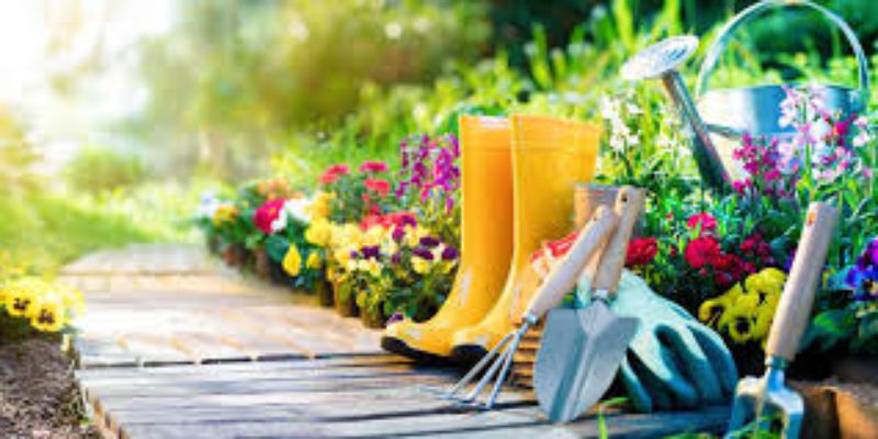 Gardening can have many physical and psychological benefits