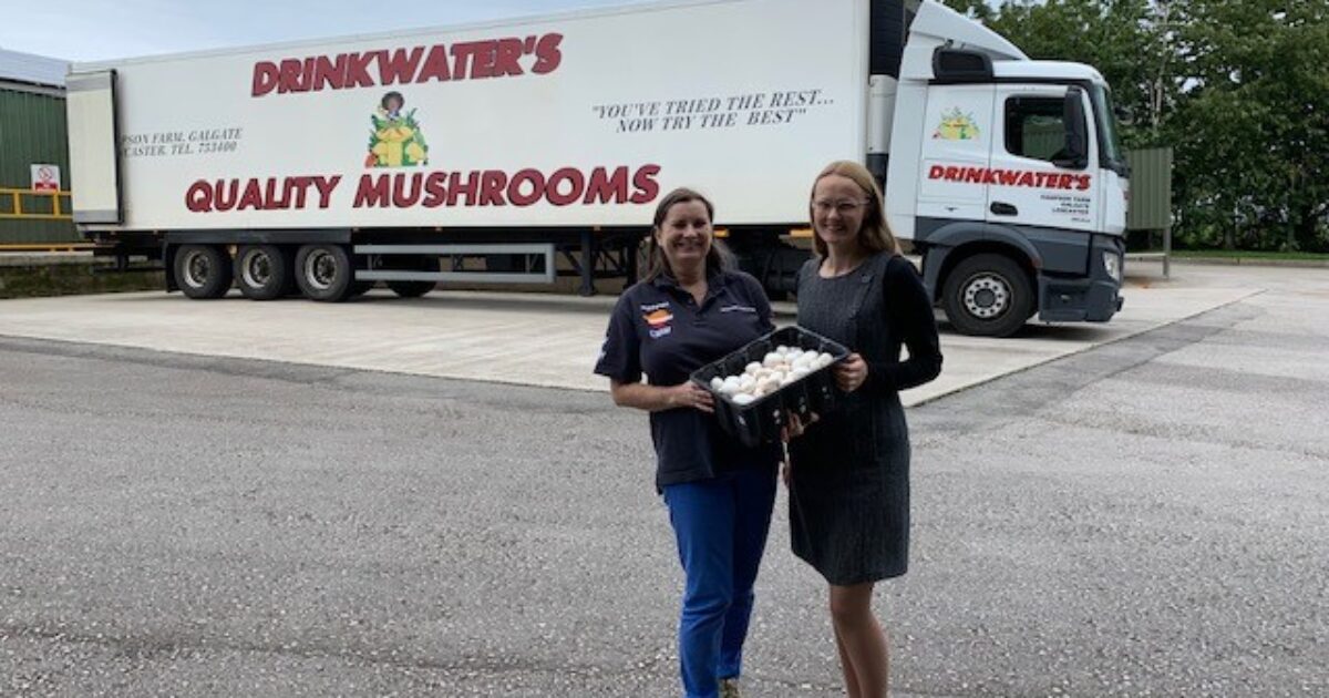 Amazing Mushrooms! Cat Smith Cat Smith