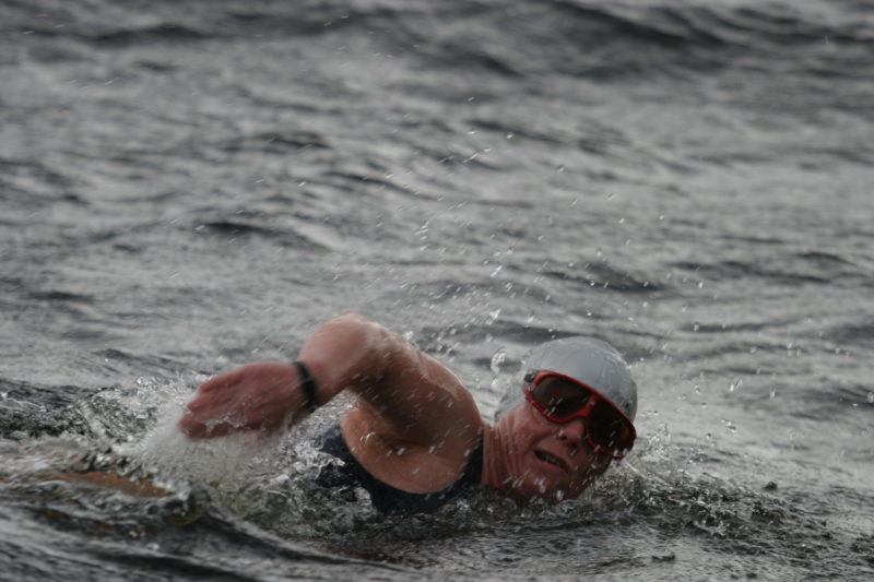 Julie Bradshaw, Marathon Swim Champion
