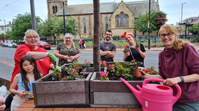 Cat mucks in the help plant with the town