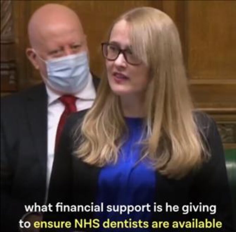 Cat questioning the Chancellor in the HoC 