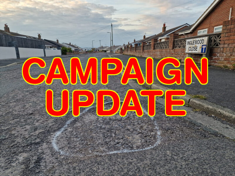 Cat gets potholes earmarked for repair