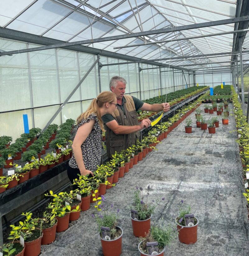 Cat with Malcom from Laburnum Nurseries