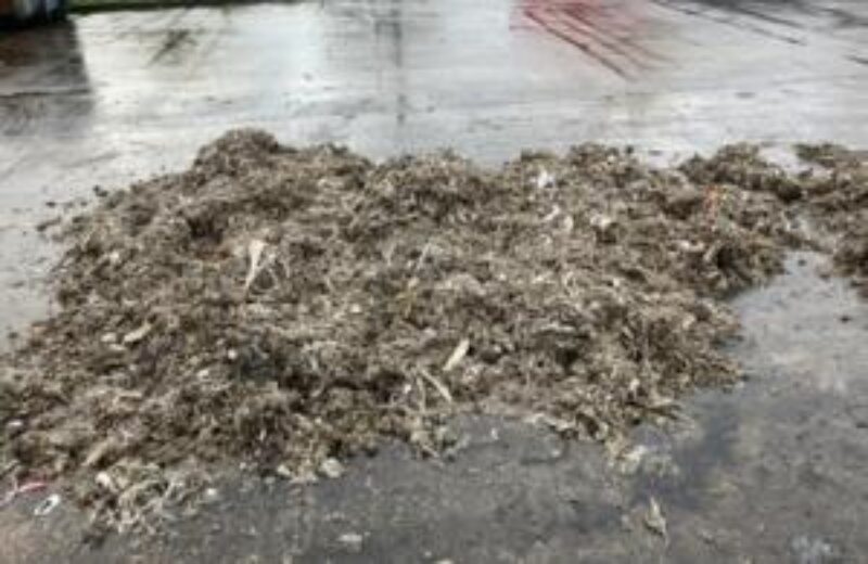 Pile of wet wipes extracted from the system at Minworth Sewage Treatment Works. Source: gov.uk
